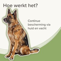 Medicinale halsband hond vanaf 8 kg 70 cm tegen vlooien teken en zandvliegen