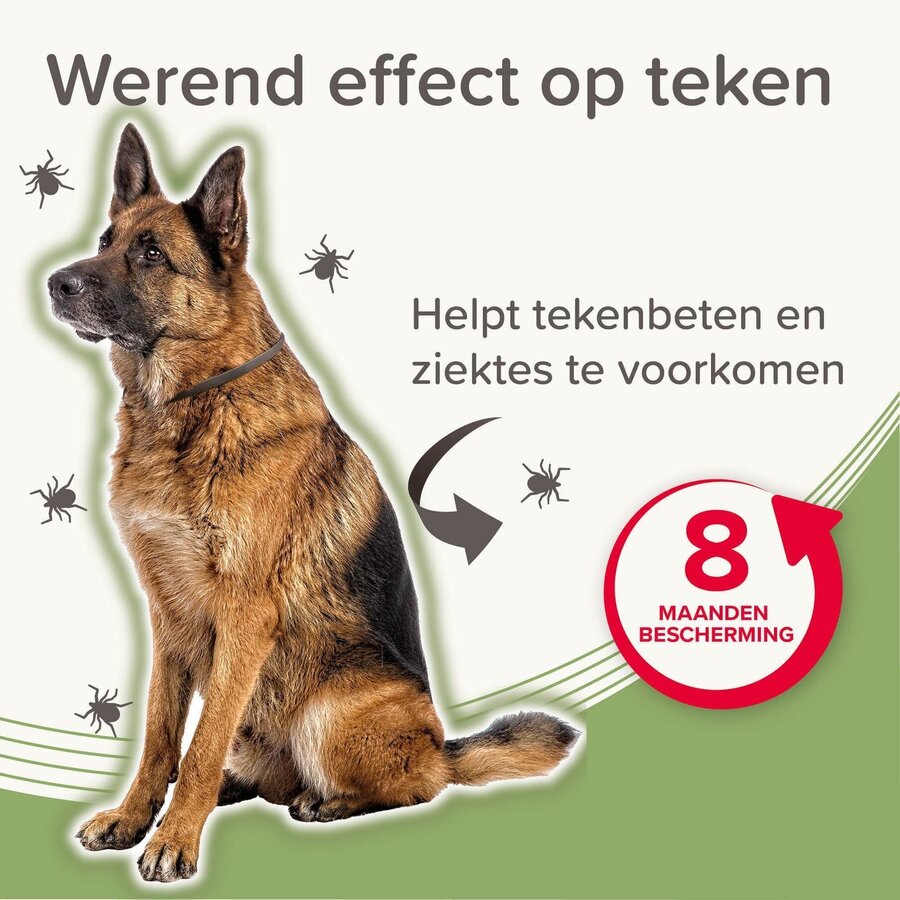 Medicinale halsband hond vanaf 8 kg 70 cm tegen vlooien teken en zandvliegen