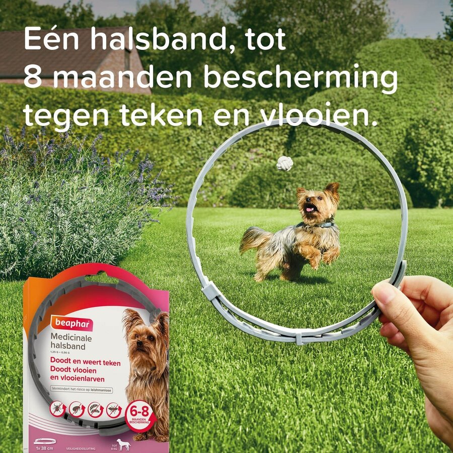 Medicinale halsband voor honden tot 8 kg | tegen vlooien, teken en zandvliegen | 38 cm