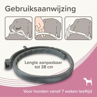 Medicinale halsband voor honden tot 8 kg | tegen vlooien, teken en zandvliegen | 38 cm