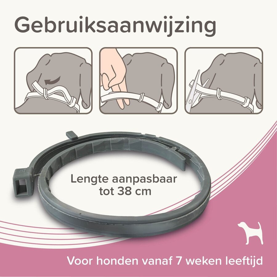 Medicinale halsband voor honden tot 8 kg | tegen vlooien, teken en zandvliegen | 38 cm