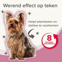 Medicinale halsband voor honden tot 8 kg | tegen vlooien, teken en zandvliegen | 38 cm