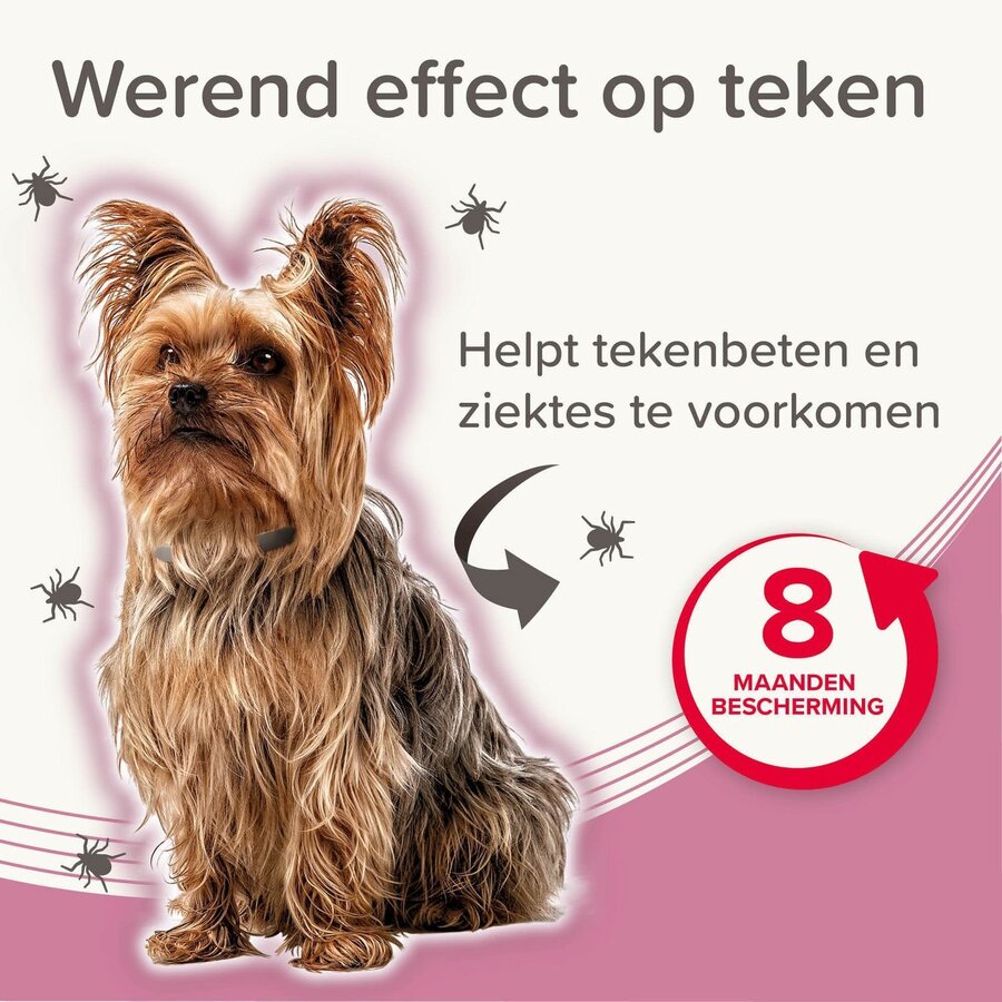 Medicinale halsband voor honden tot 8 kg | tegen vlooien, teken en zandvliegen | 38 cm