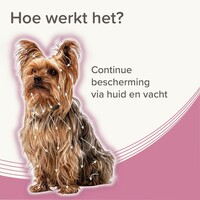 Medicinale halsband voor honden tot 8 kg | tegen vlooien, teken en zandvliegen | 38 cm