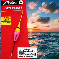 LED dobber Olivia 0,9 gram met batterij voor nachtvisserij