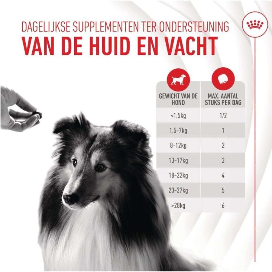Skin & Coat Chews | aanvullend diervoeder voor gezonde huid en glanzende vacht bij volwassen honden