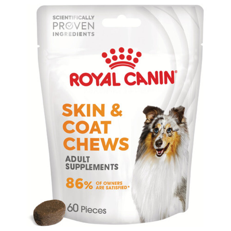Skin & Coat Chews | aanvullend diervoeder voor gezonde huid en glanzende vacht bij volwassen honden