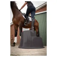 Opstaphulp 3 treden met antislip en handvat