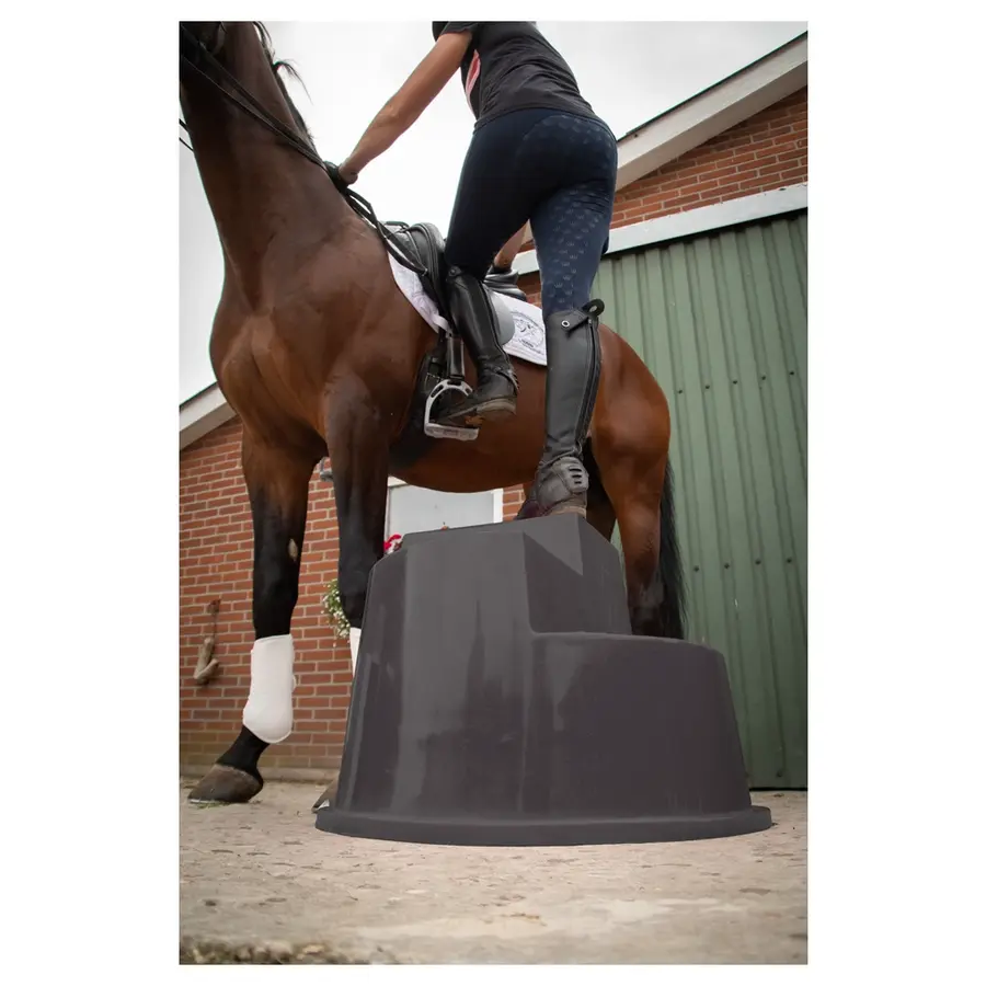 Opstaphulp 3 treden met antislip en handvat