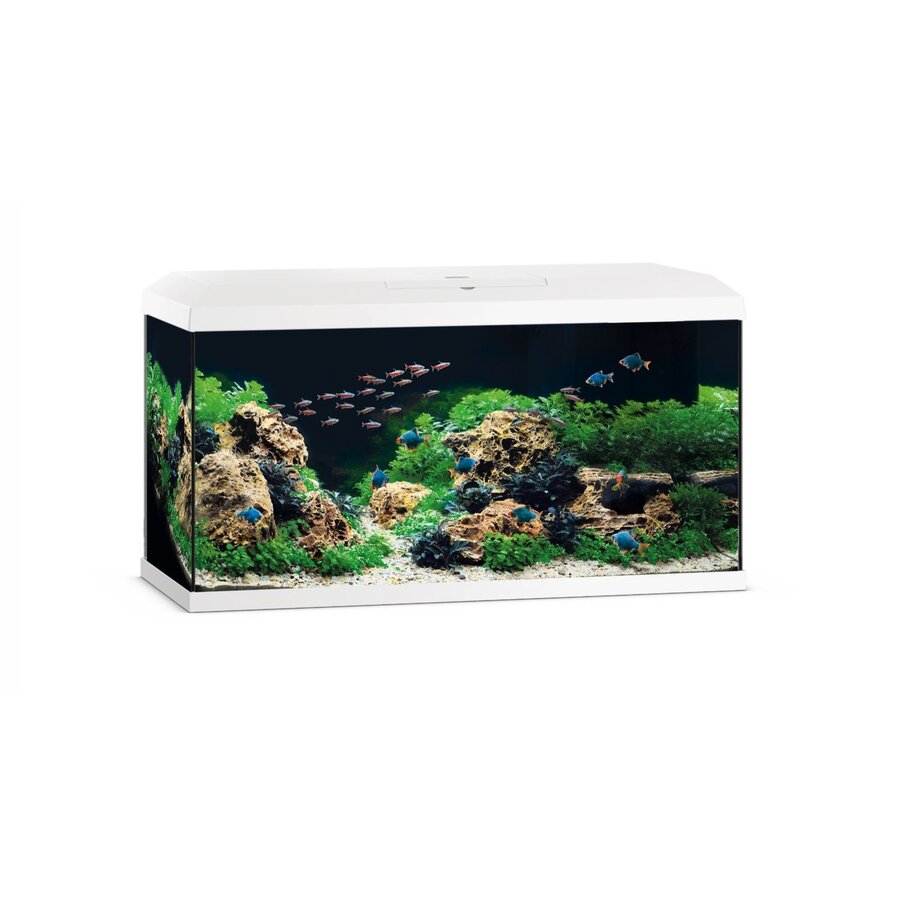 Primo 110 | 110L | 81 x 36 x 45CM Wit