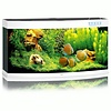 Vision 260 LED | 260L | 121 x 46 x 64CM Wit