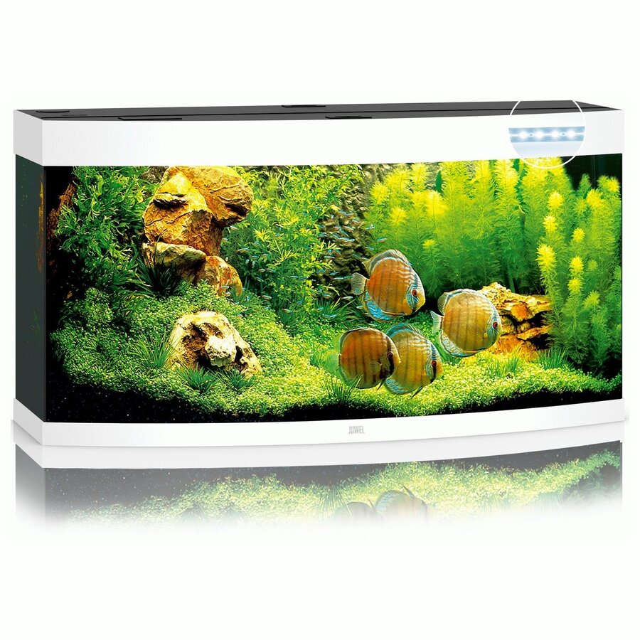 Vision 260 LED | 260L | 121 x 46 x 64CM Wit