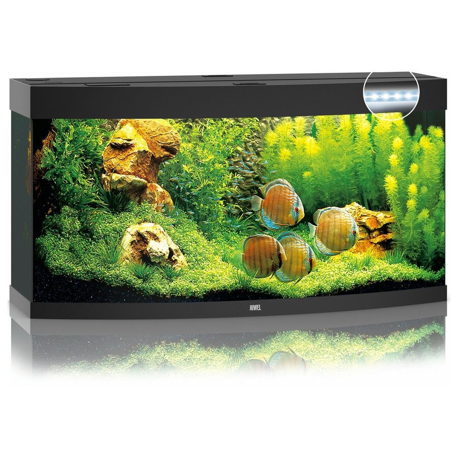 Vision 260 LED | 260L | 121 x 46 x 64CM Zwart