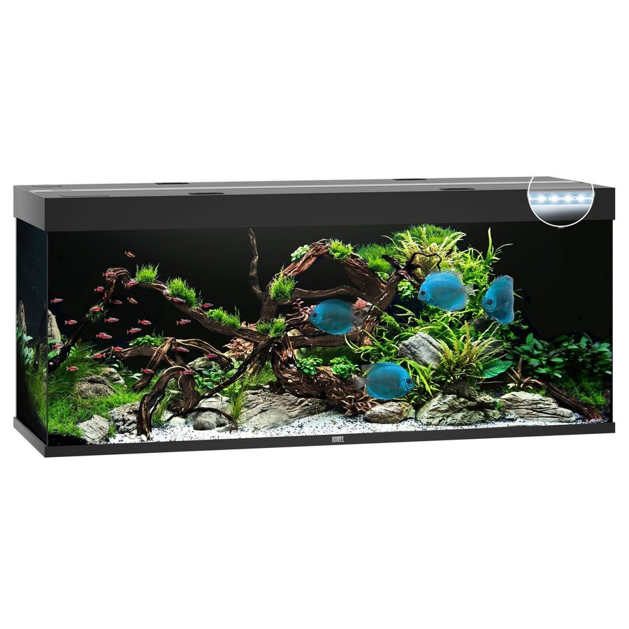 Rio 450 LED | 450L | 151 x 51 x 66CM Zwart