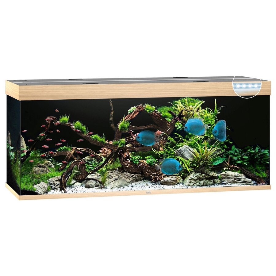 Rio 450 LED | 450L | 151 x 51 x 66CM Lichthout