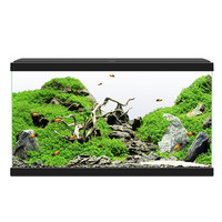 Aqua 60 LED CF80 | 58L | 60 x 30 x 33CM Zwart Aquarium
