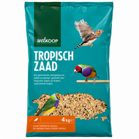 Tropisch zaad (5984)