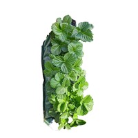 Fragaria Hanging hangende aardbei zak met diverse planten | ca. 30 cm hoog | Zomerfruit voor muur, balkon en terras | Verkoop per stuk