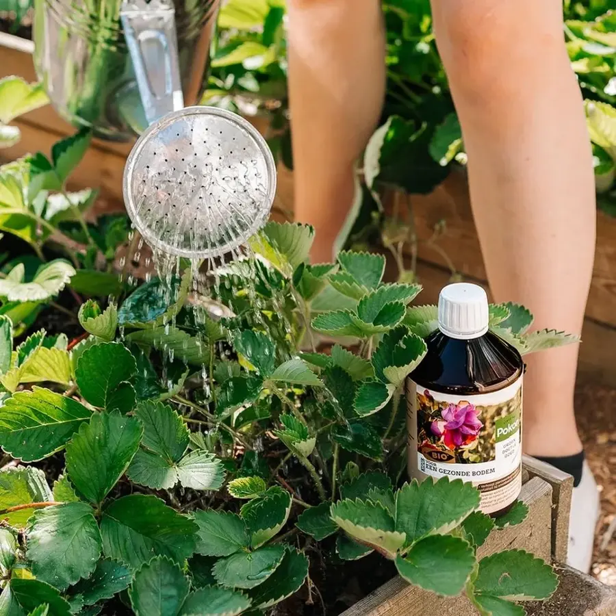 Bio Kuur voor een Gezonde Bodem Concentraat 500ml | plantversterkende bodemkuur voor moestuin en siertuin