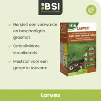Larvex strooikorrels