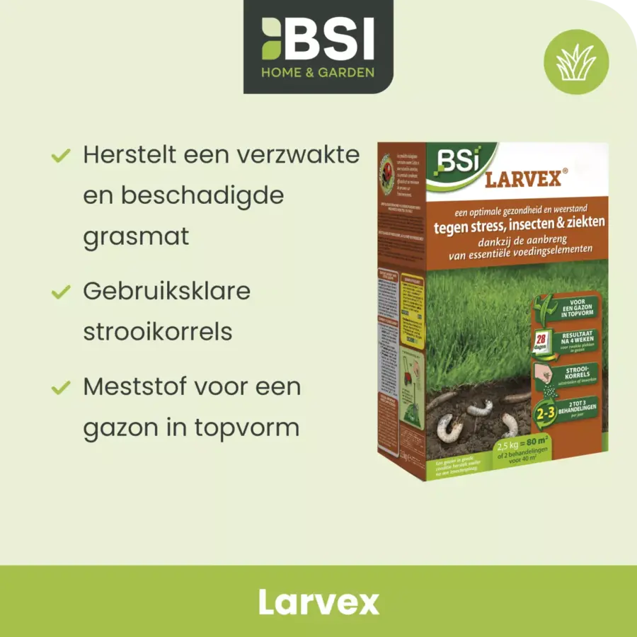 Larvex strooikorrels