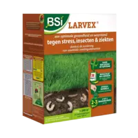 Larvex strooikorrels