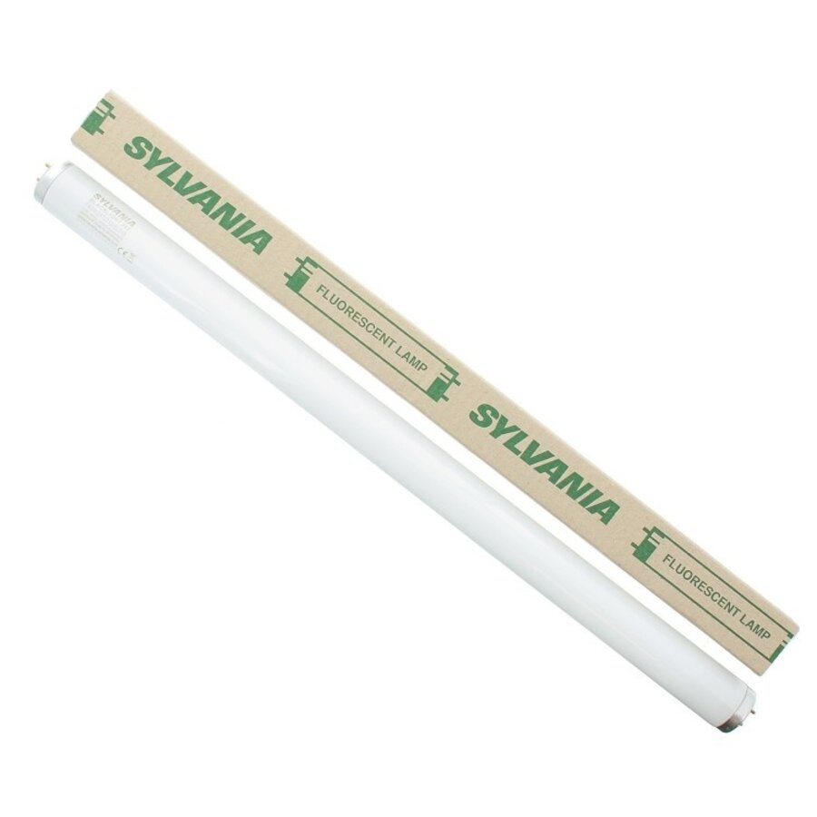 TL-lamp T8 40W 12V G13 voor insectenverdelgers 590 mm