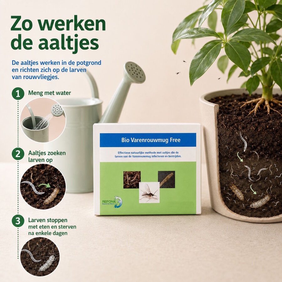 Aaltjes tegen rouwvliegjes en potgrondvliegjes