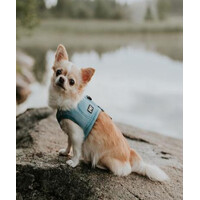 Koelvest voor honden blauw maat XS voor snelle verkoeling