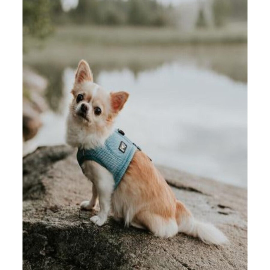 Koelvest voor honden blauw maat XS voor snelle verkoeling