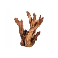 Natuurlijk aquariumhout XL 45 tot 60 cm voor aquascaping