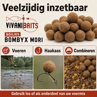 Bombyx Mori zinkende karperboilies