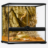 Glazen terrarium met achterwand