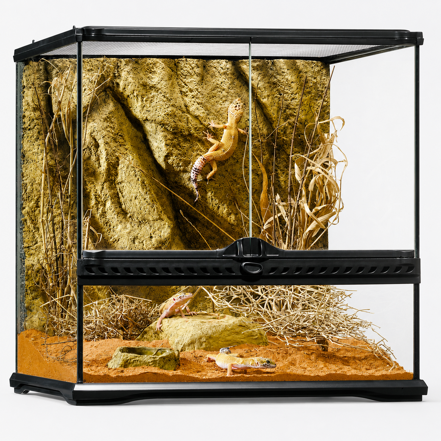 Glazen terrarium met achterwand