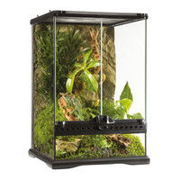 Glazen terrarium met achterwand voor reptielen en amfibieën