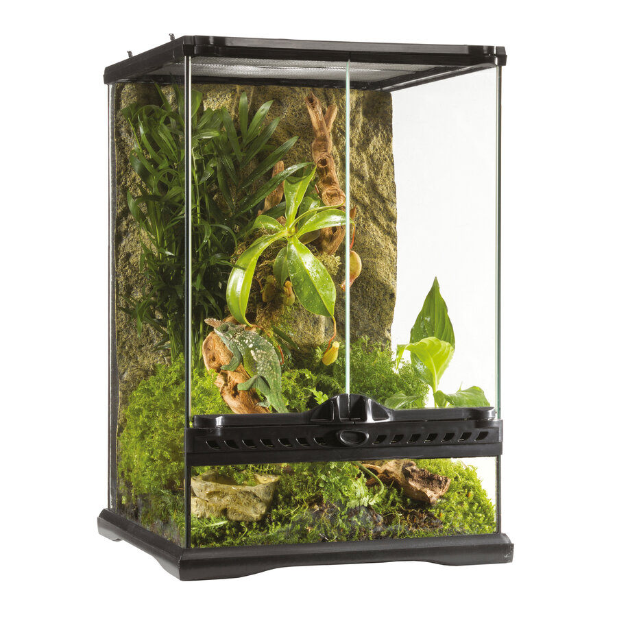 Glazen terrarium met achterwand voor reptielen en amfibieën