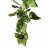 Amapallo kunstplant small