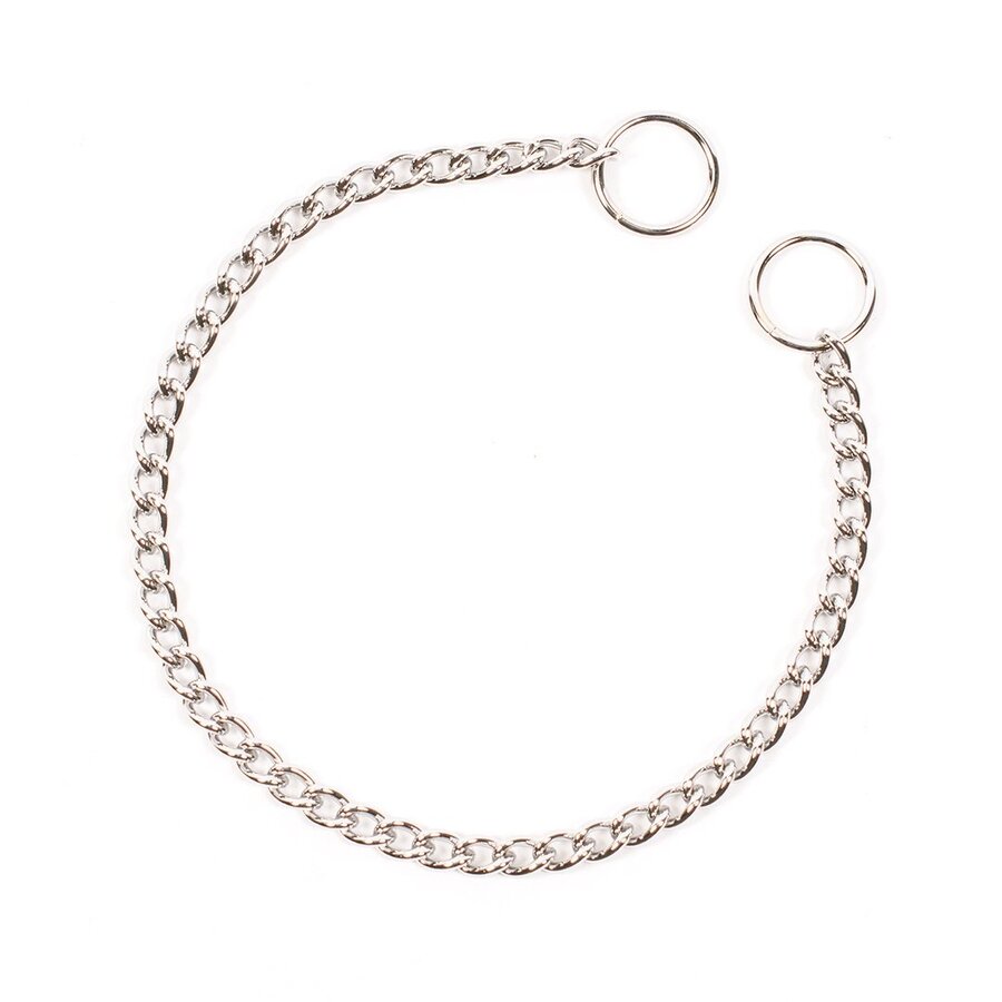 Verchroomde sliphalsband voor honden