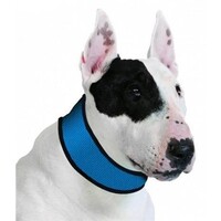 Verkoelende hondenhalsband Pacific Blue maat M | nekomvang 30 tot 34 cm
