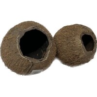 Natuurlijke kokosnoot 3/4 schuilplaats