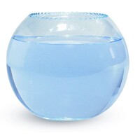 Glazen vissenkom met kartelrand 30 cm voor aquascaping en decoratie