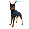 Koelend hondentuig blauw
