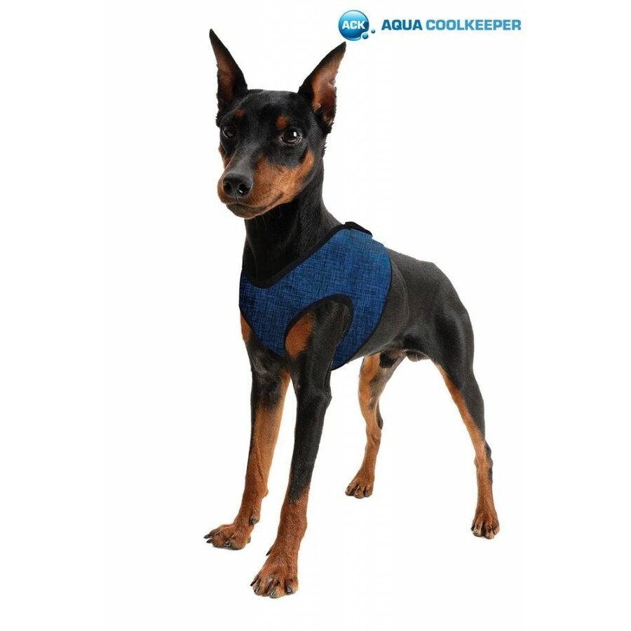 Koelend hondentuig blauw maat XXS