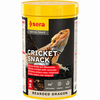 Bearded Dragon Cricket Snack