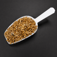 Gedroogde gammarus natuurlijk lokvoer voor karper | 1 kg