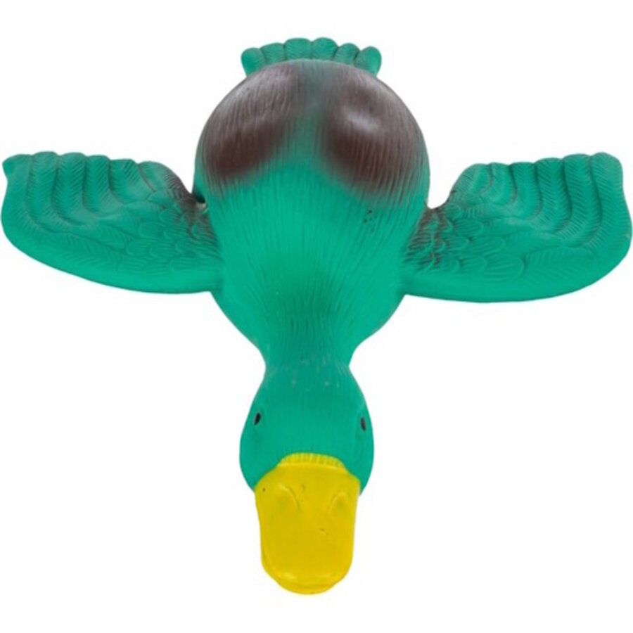 Latex eend