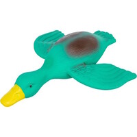 Latex eend