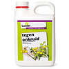 Greenfix Zero kant-en-klare onkruid- en mosbestrijder
