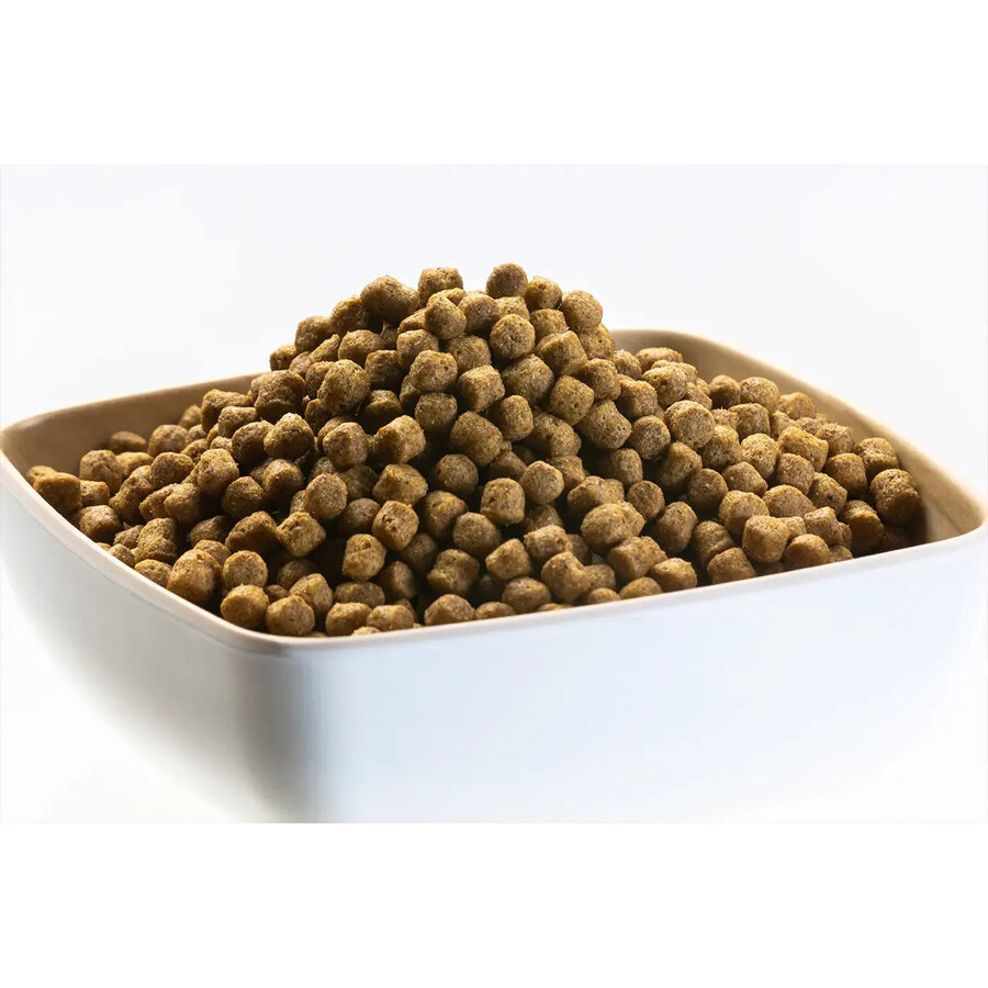Pond Pellet drijvend vijvervoer