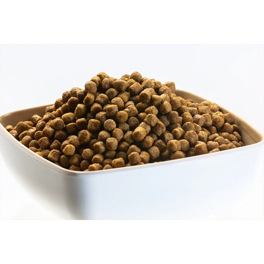 Wheat Germ drijvend koivoer